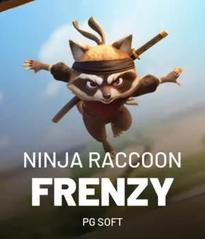 Ninja Raccoon Frenzy